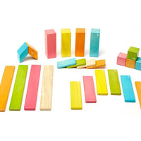 Tegu Tints Magnetic Wooden Block 24 Pieces