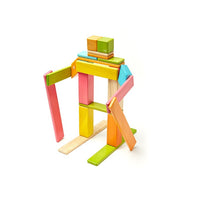 Tegu Tints Magnetic Wooden Block 24 Pieces