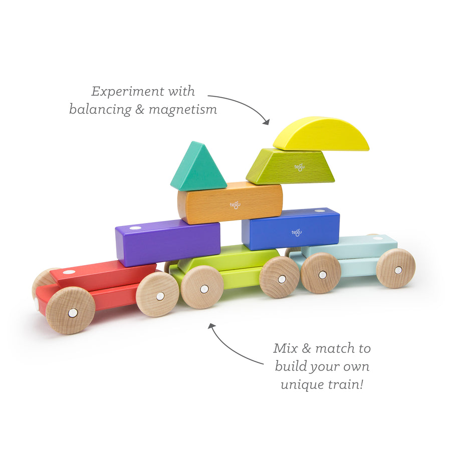 Tegu Shape Train Rainbow Magnetic Wooden Blocks