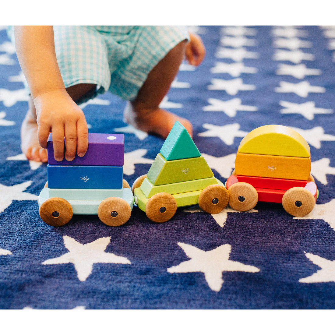 Tegu Shape Train Rainbow Magnetic Wooden Blocks