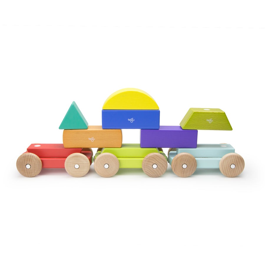 Tegu Shape Train Rainbow Magnetic Wooden Blocks