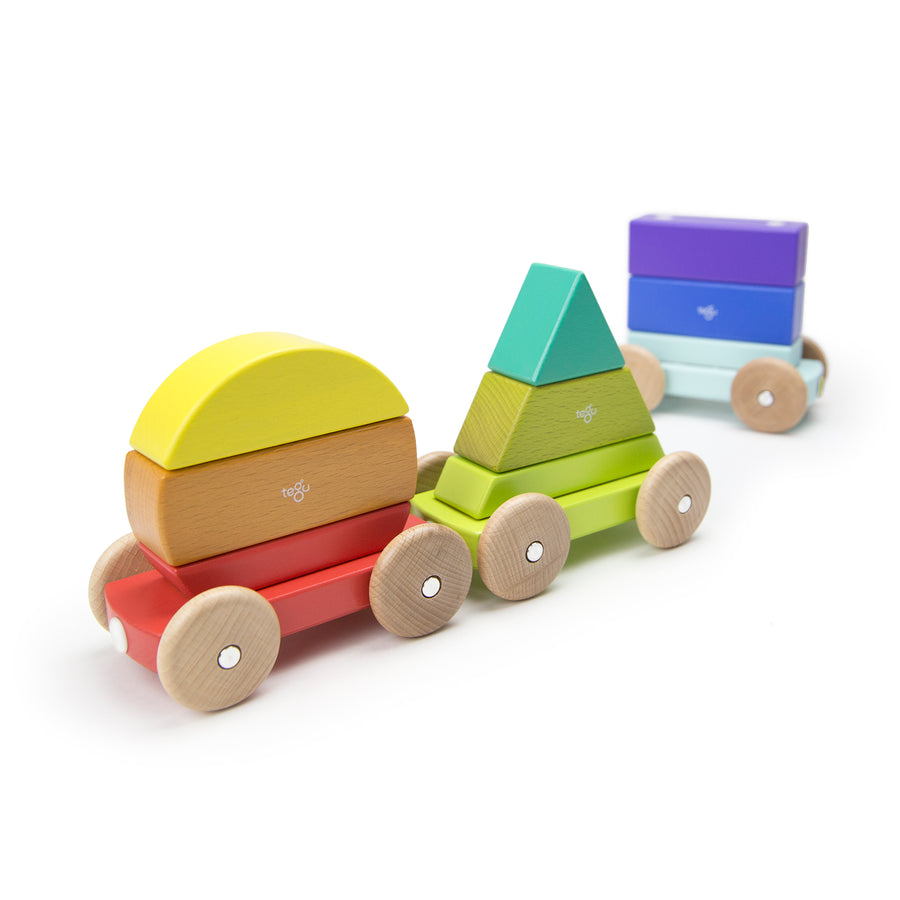 Tegu Shape Train Rainbow Magnetic Wooden Blocks