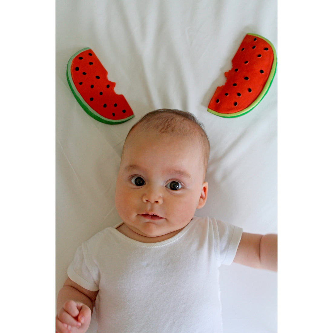 Oli & Carol Wally the Watermelon Teether