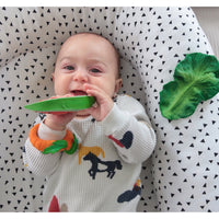 Oli & Carol Wally the Watermelon Teether