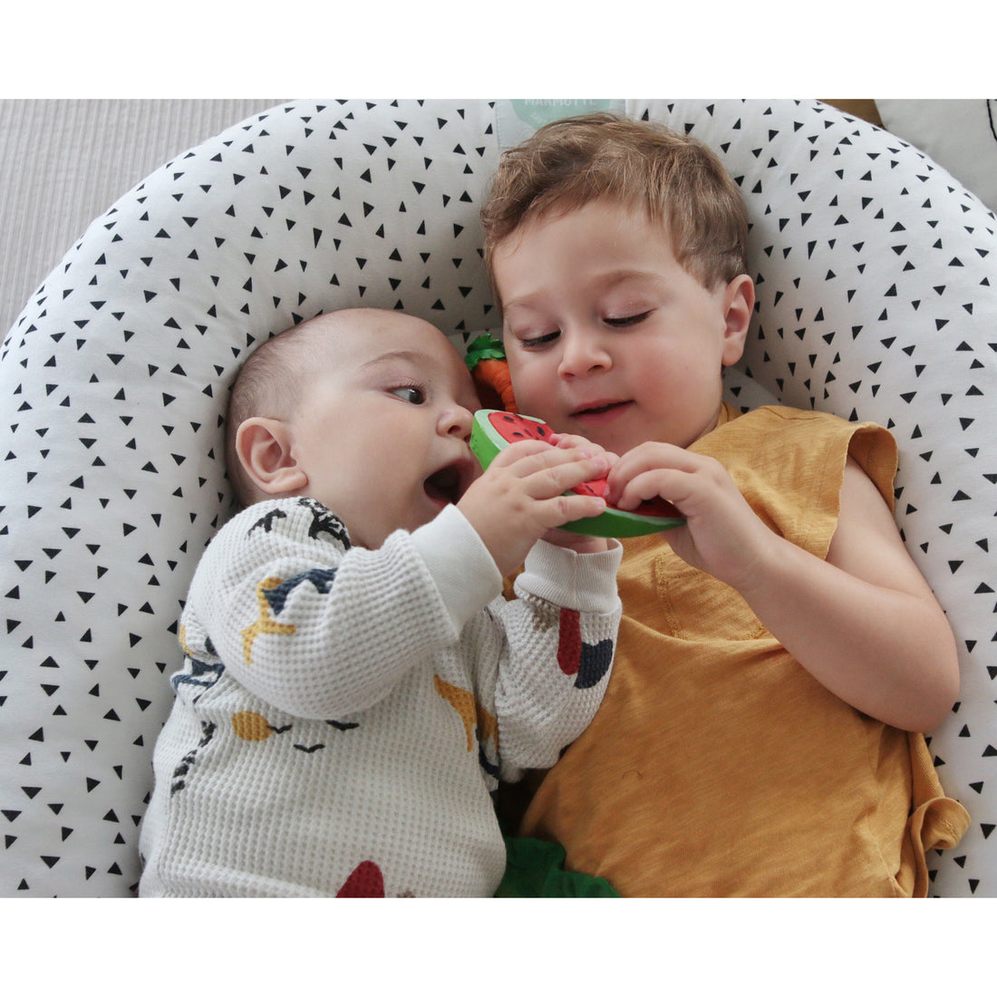 Oli & Carol Wally the Watermelon Teether