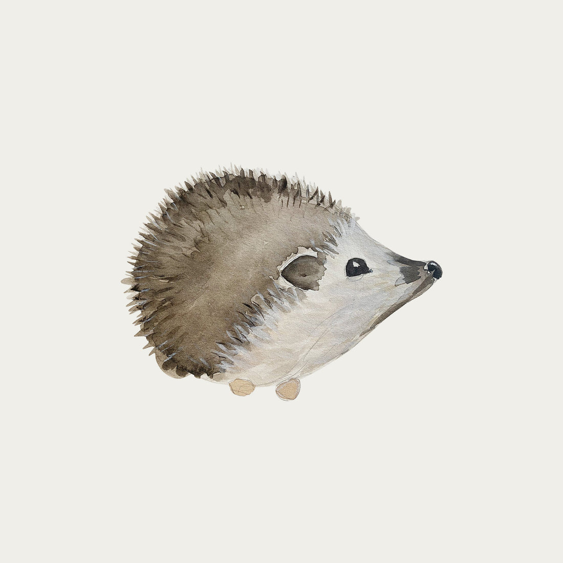 atlas-&-august-hedgehog-1-atla-f15-mini-