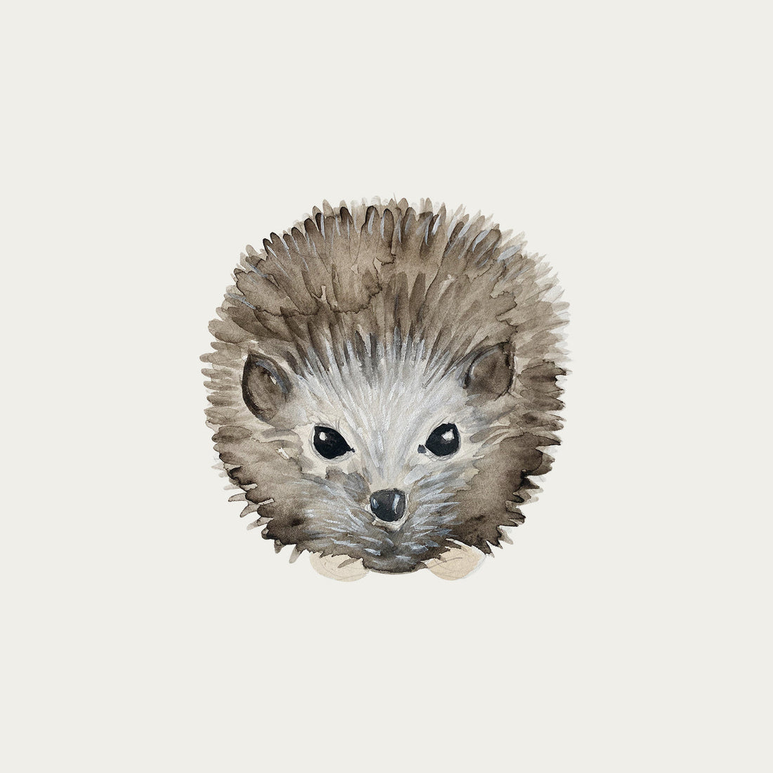 atlas-&-august-hedgehog-2-atla-f17-mini-