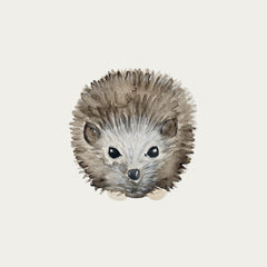 atlas-&-august-hedgehog-2-atla-f17-mini-