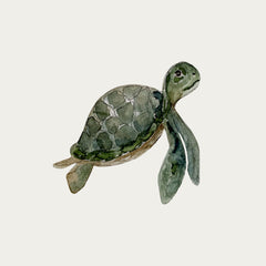 atlas-&-august-turtle-2-atla-w27-mini-