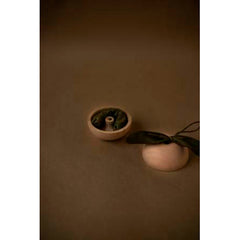 babai-wooden-story-from-the-nature-apple-&-little-friend- (1)