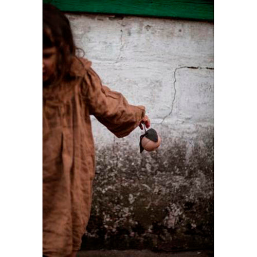 babai-wooden-story-from-the-nature-apple-&-little-friend- (2)