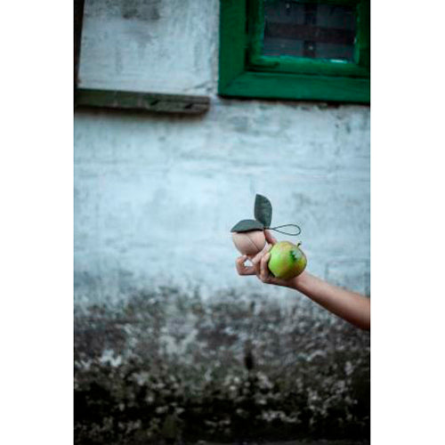 babai-wooden-story-from-the-nature-apple-&-little-friend- (3)