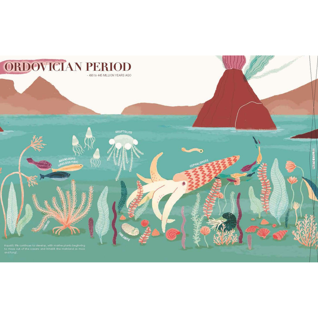 book-a-brief-history-of-life-on-earth- (4)