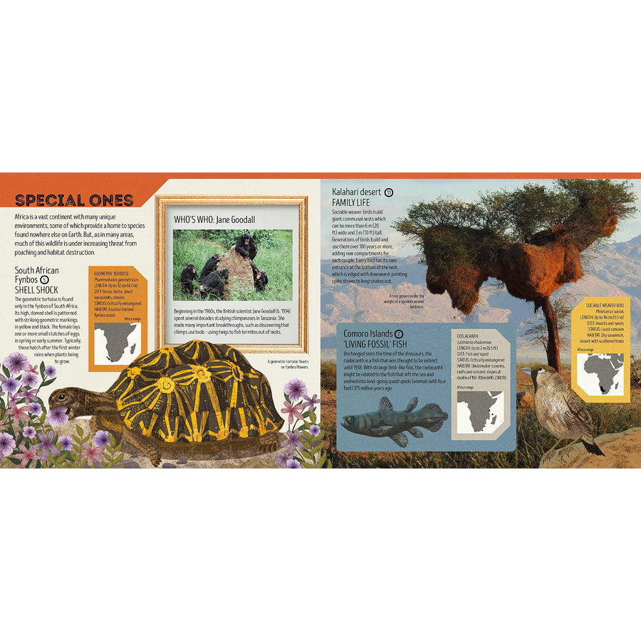 book-animal-atlas- (2)