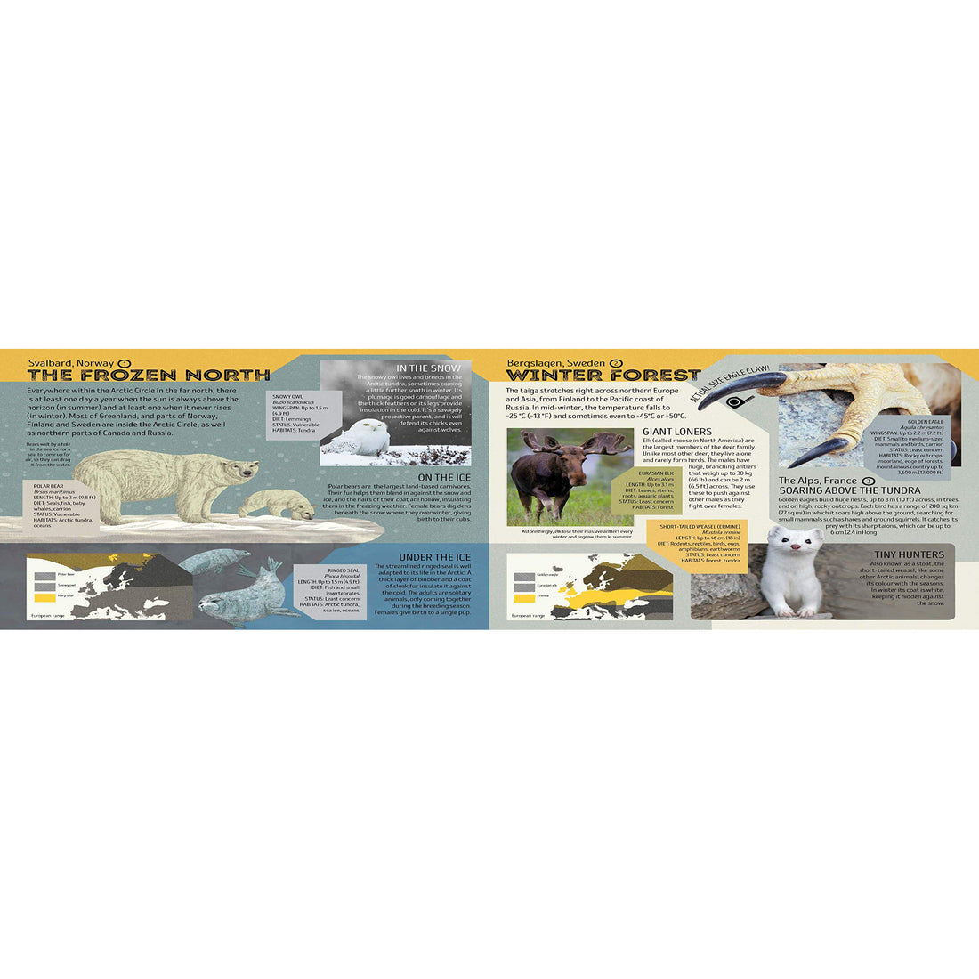 book-animal-atlas- (3)