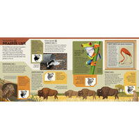 book-animal-atlas- (5)
