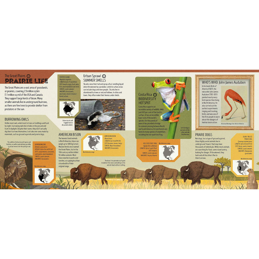 book-animal-atlas- (5)