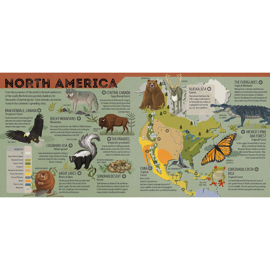 book-animal-atlas- (6)