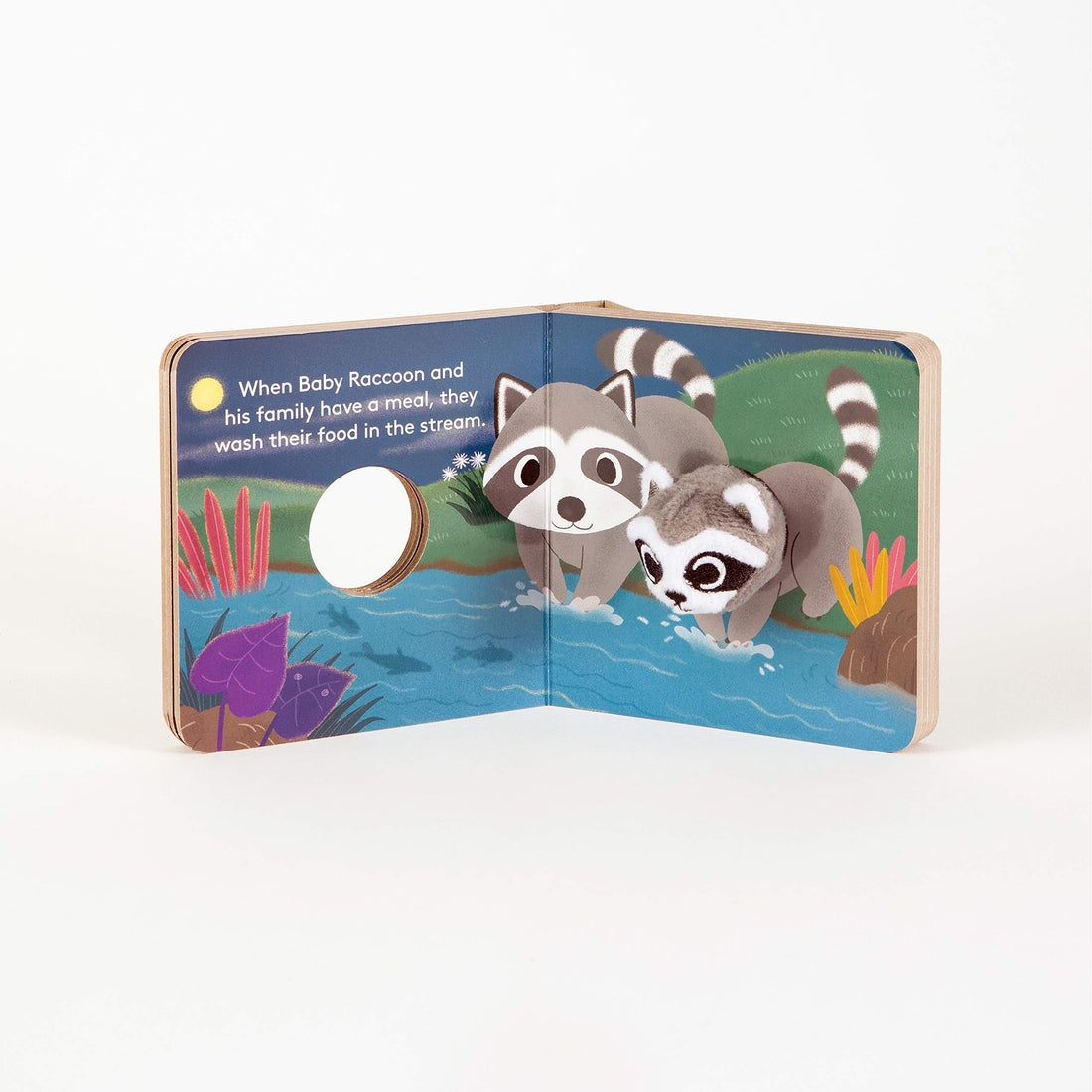 book-baby-raccoon-finger-puppet-book- (3)