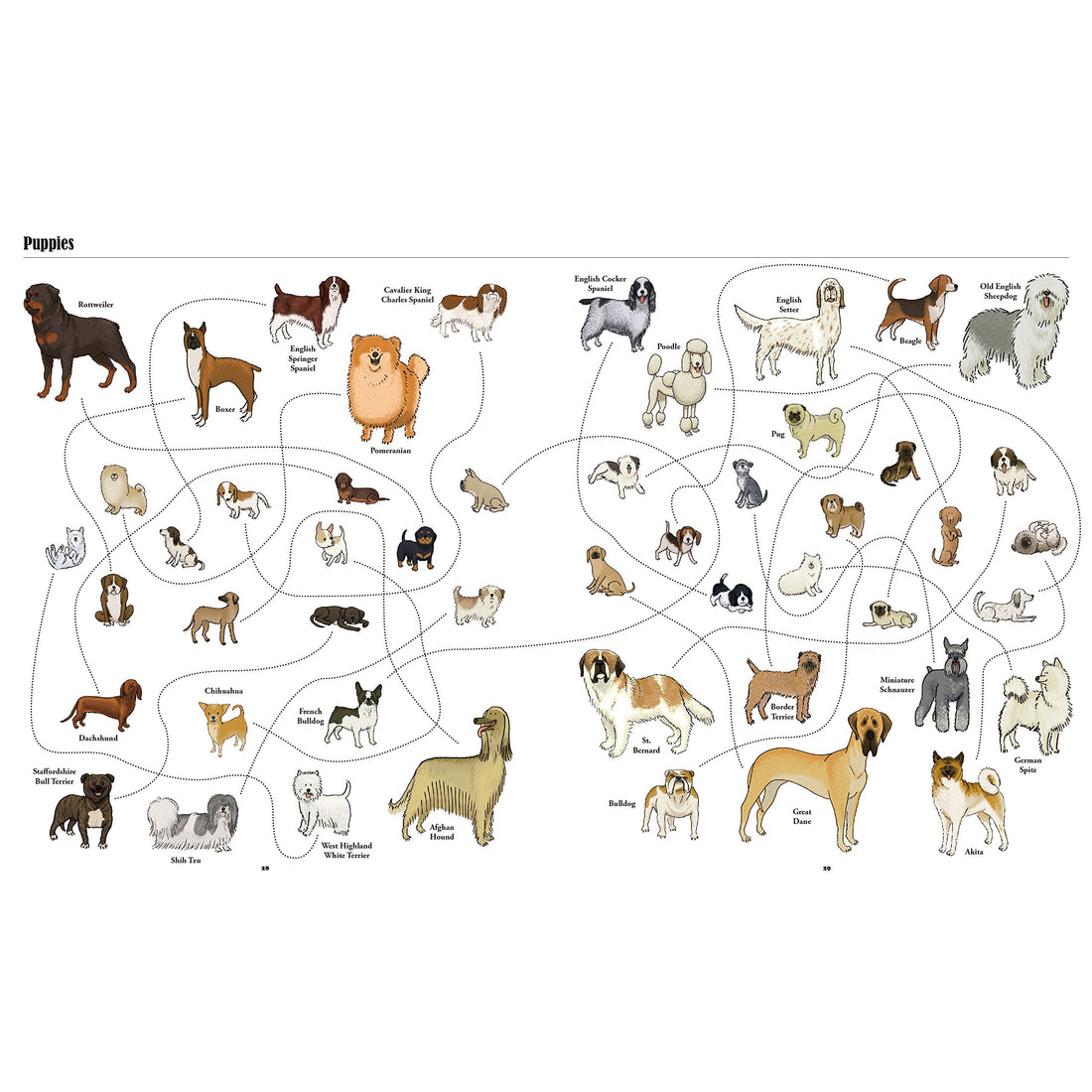 Big Dog Types Of Dogs All Dog Breeds Big Dogs That Think They Are