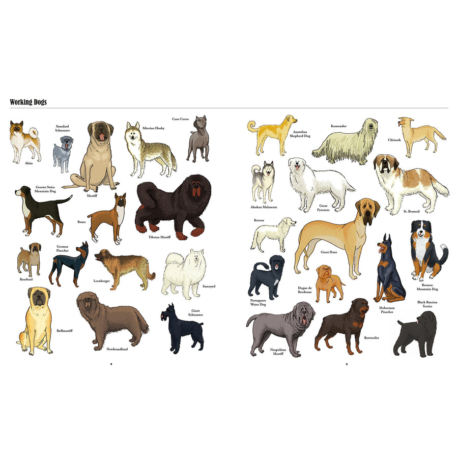 book-big-dogs-little-dogs-a-visual-guide-to-the-world's-dogs- (6)