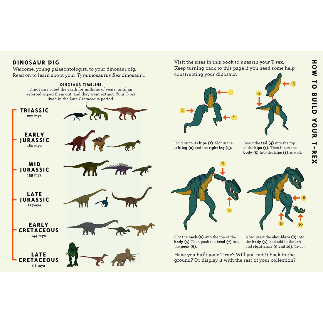 book-build-a-t-rex- (7)