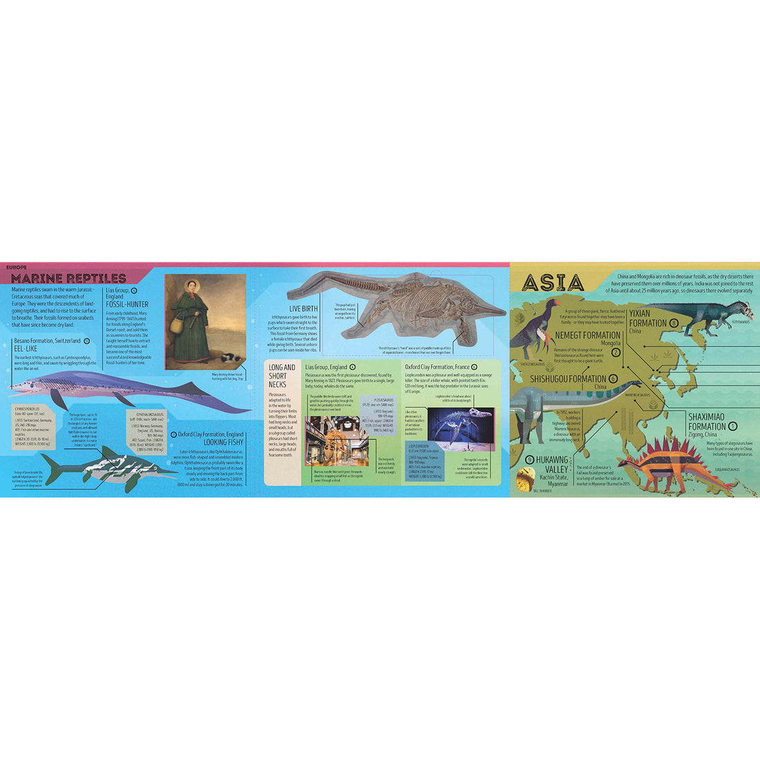 book-dinosaurs-atlas- (2)