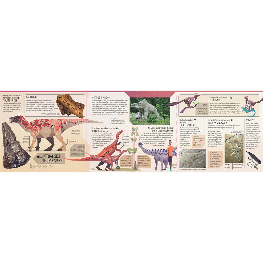 book-dinosaurs-atlas- (3)