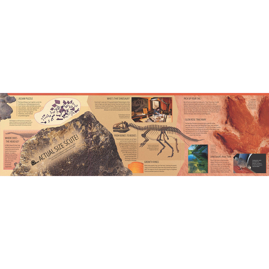 book-dinosaurs-atlas- (4)