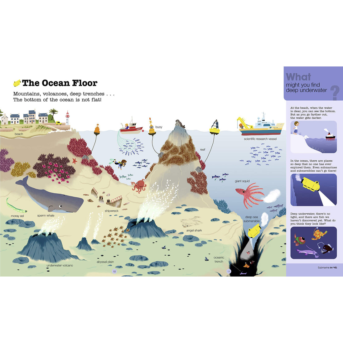 book-do-you-know-oceans-and-marine-life- (5)