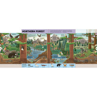 book-expandable-explorations-wild-world-explore-five-pull-out-panoramic-scenes- (2)