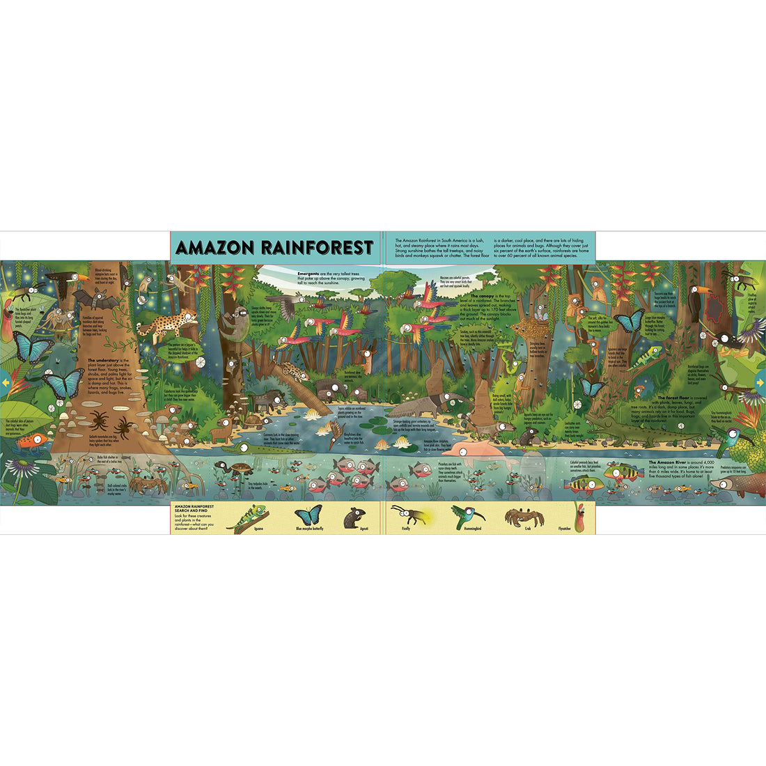 book-expandable-explorations-wild-world-explore-five-pull-out-panoramic-scenes- (4)