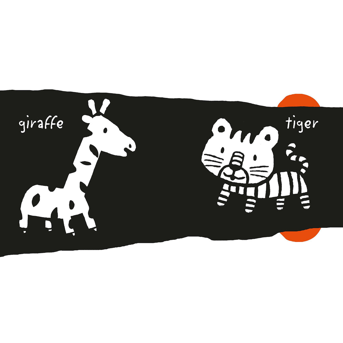 book-my-animals- (5)