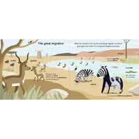 book-safari- (3)