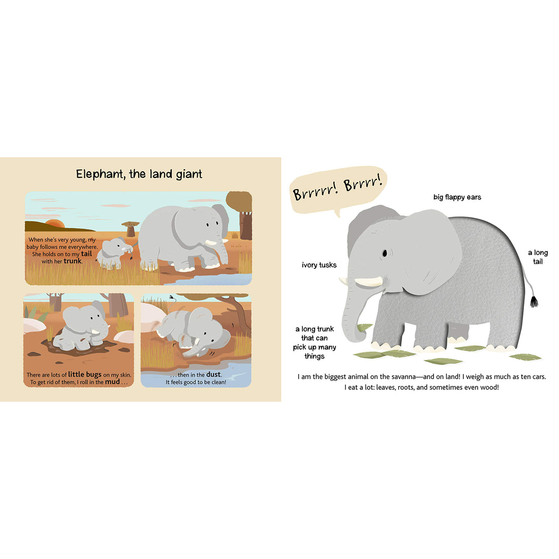 book-safari- (4)