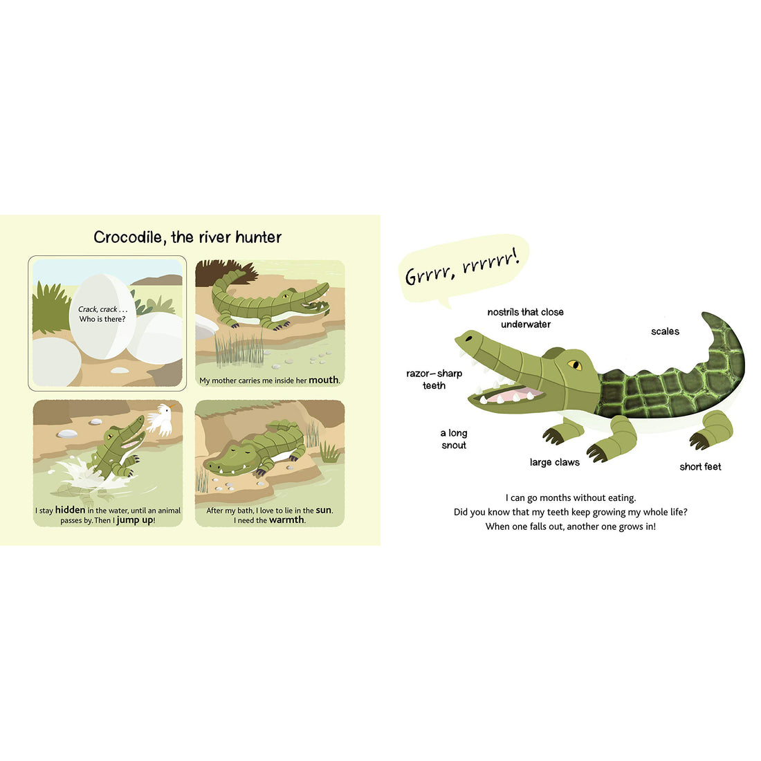 book-safari- (5)