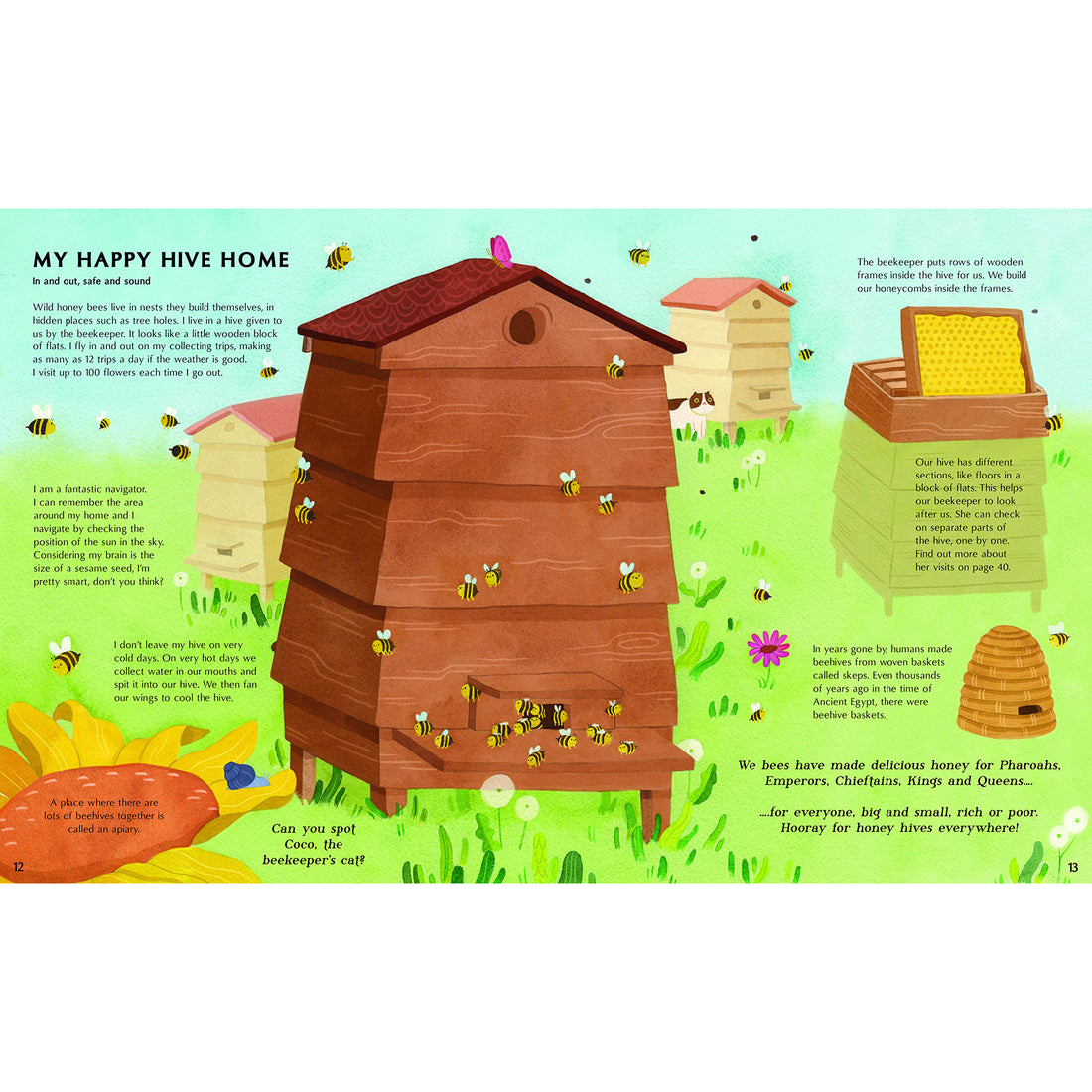book-secret-life-of-bees- (2)