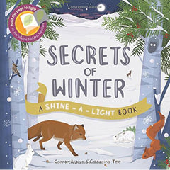 book-secrets-of-winter-a-shine-a-light-book- (1)