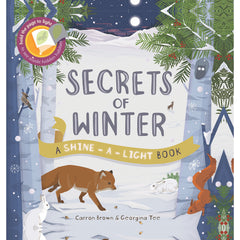 book-secrets-of-winter-shine-a-light-books- (1)