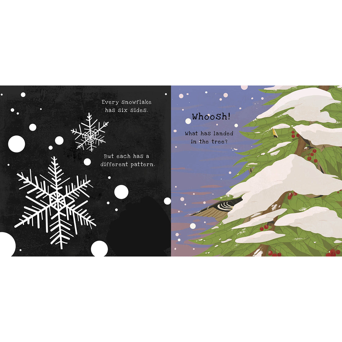 book-secrets-of-winter-shine-a-light-books- (5)