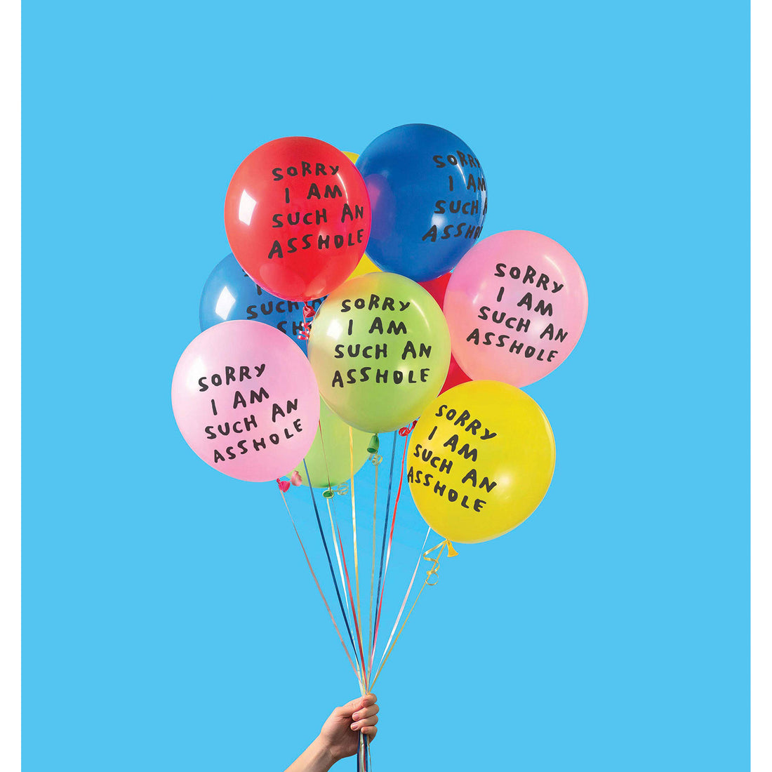 book-sorry-i-am-such-an-asshole-balloons- (2)
