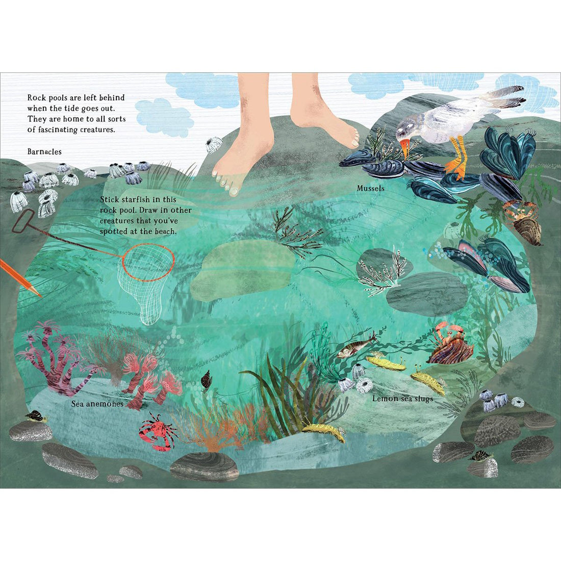 book-the-big-sticker-book-of-the-blue- (3)