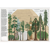 book-the-book-of-trees- (5)