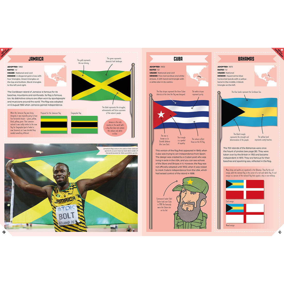 book-the-flag-book- (4)