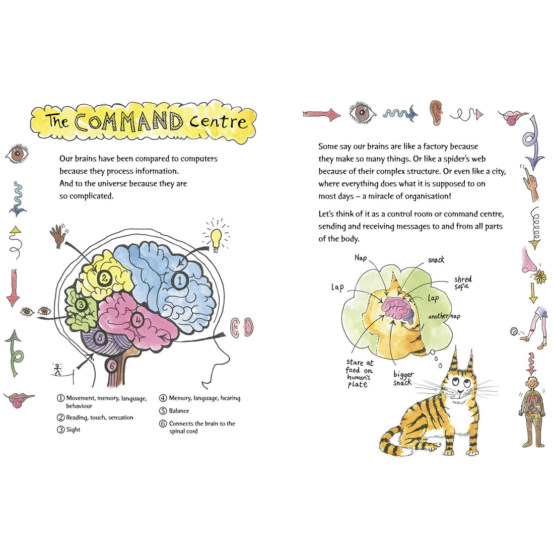 book-the-great-big-brain-book- (3)