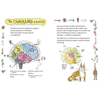 book-the-great-big-brain-book- (3)