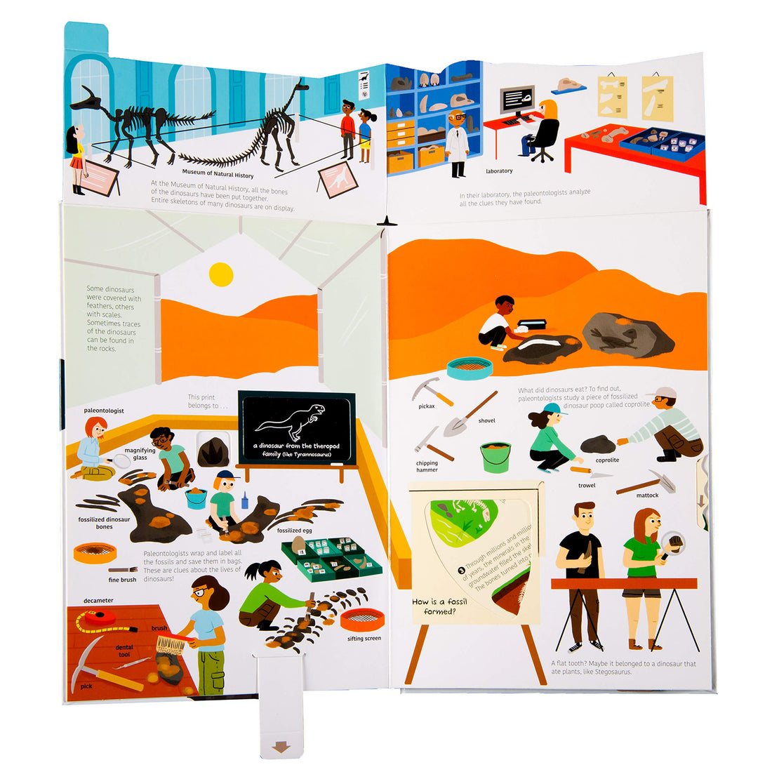 book-ultimate-spotlight-dinosaurs- (4)