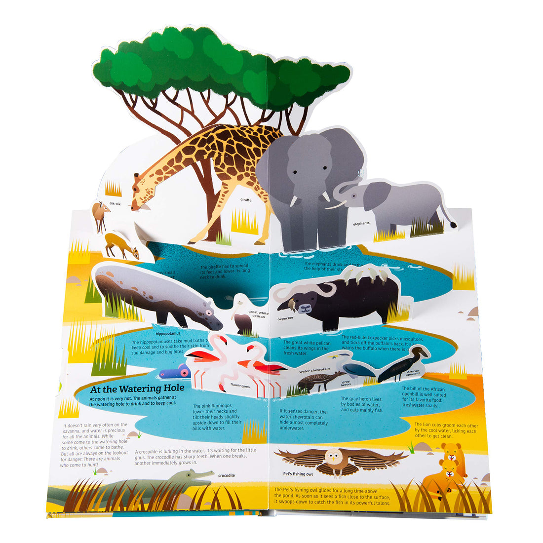 book-ultimate-spotlight-savanna-animals- (2)