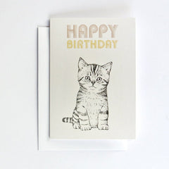briki-vroom-vroom-half-folded-postcard-cat- (1)