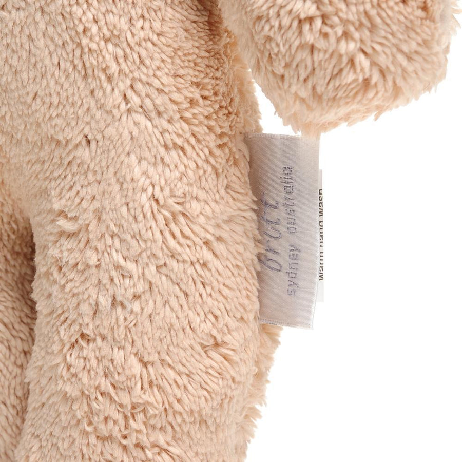 britt-bear-snuggles-teddy-biscuit- (4)